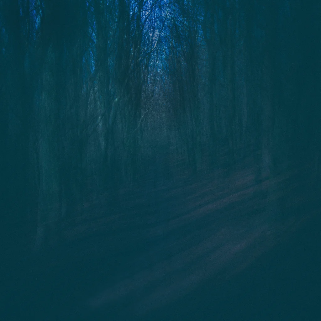 North Towards the Orison 13.jpg