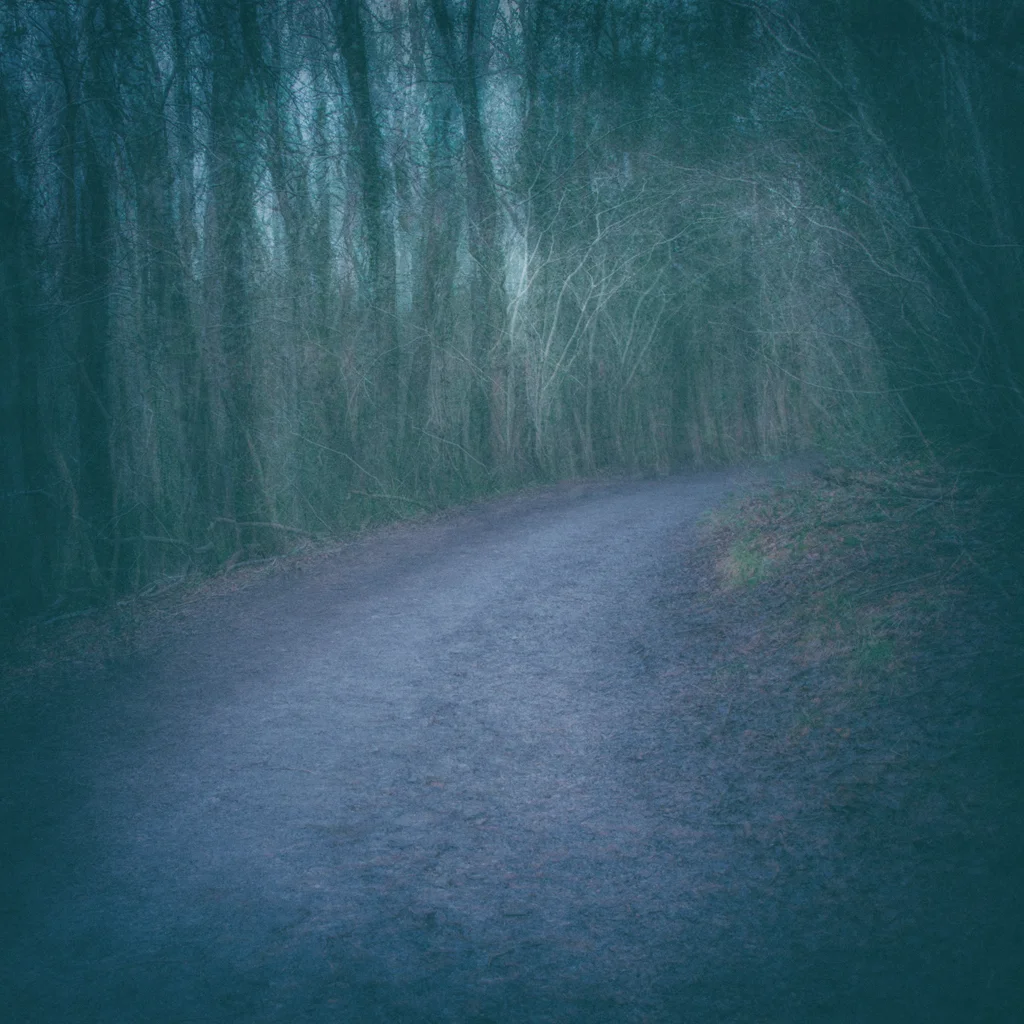 North Towards the Orison 29.jpg