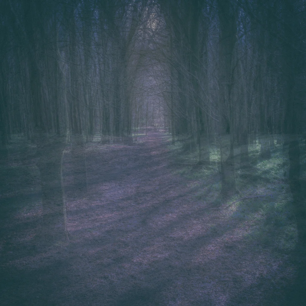 North Towards the Orison 53.jpg