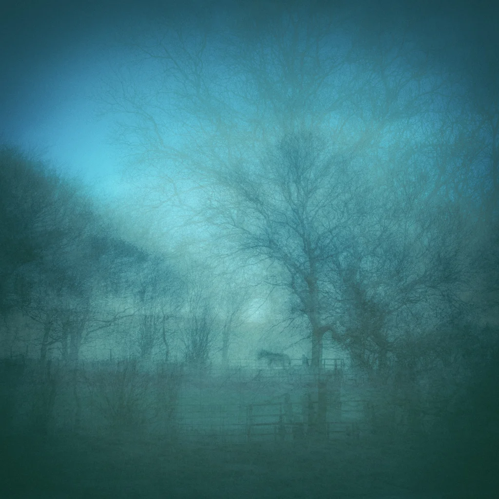 North Towards the Orison 84.jpg