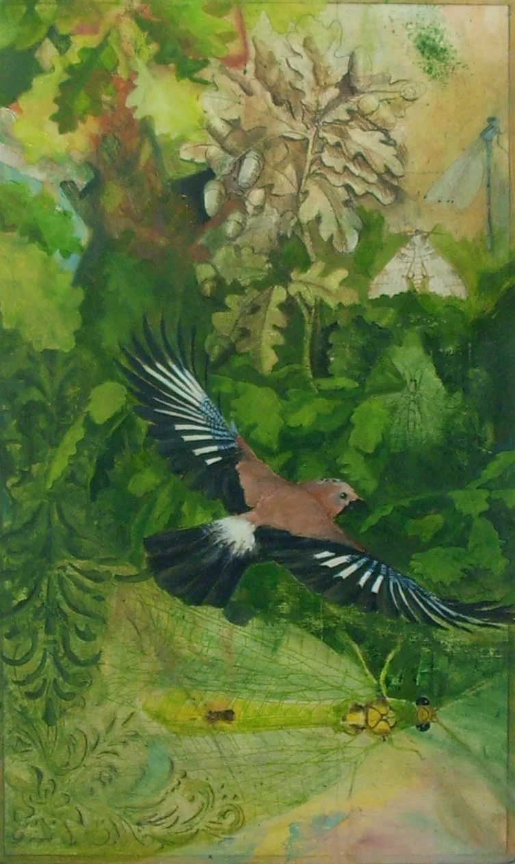 6 Jay Oil on Board 40x30cm 850.JPG