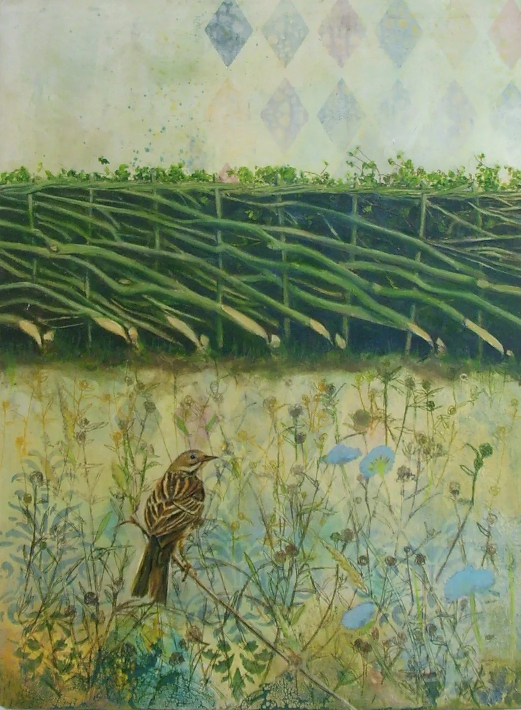 9 Meadow Pipit Oil on Board 60x45cm 1100.JPG