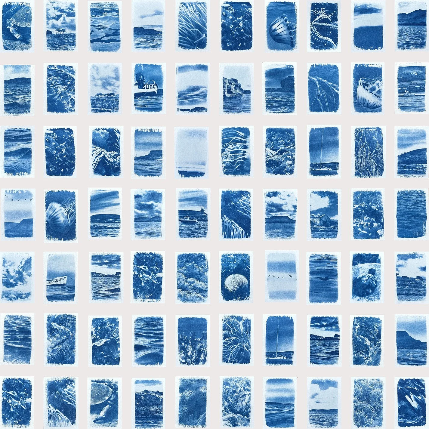 Rachel Martin, Collecting Memories, Cyanotype on BFK paper, 78 x 78cm, €850, 2026, Edition of 1.jpg