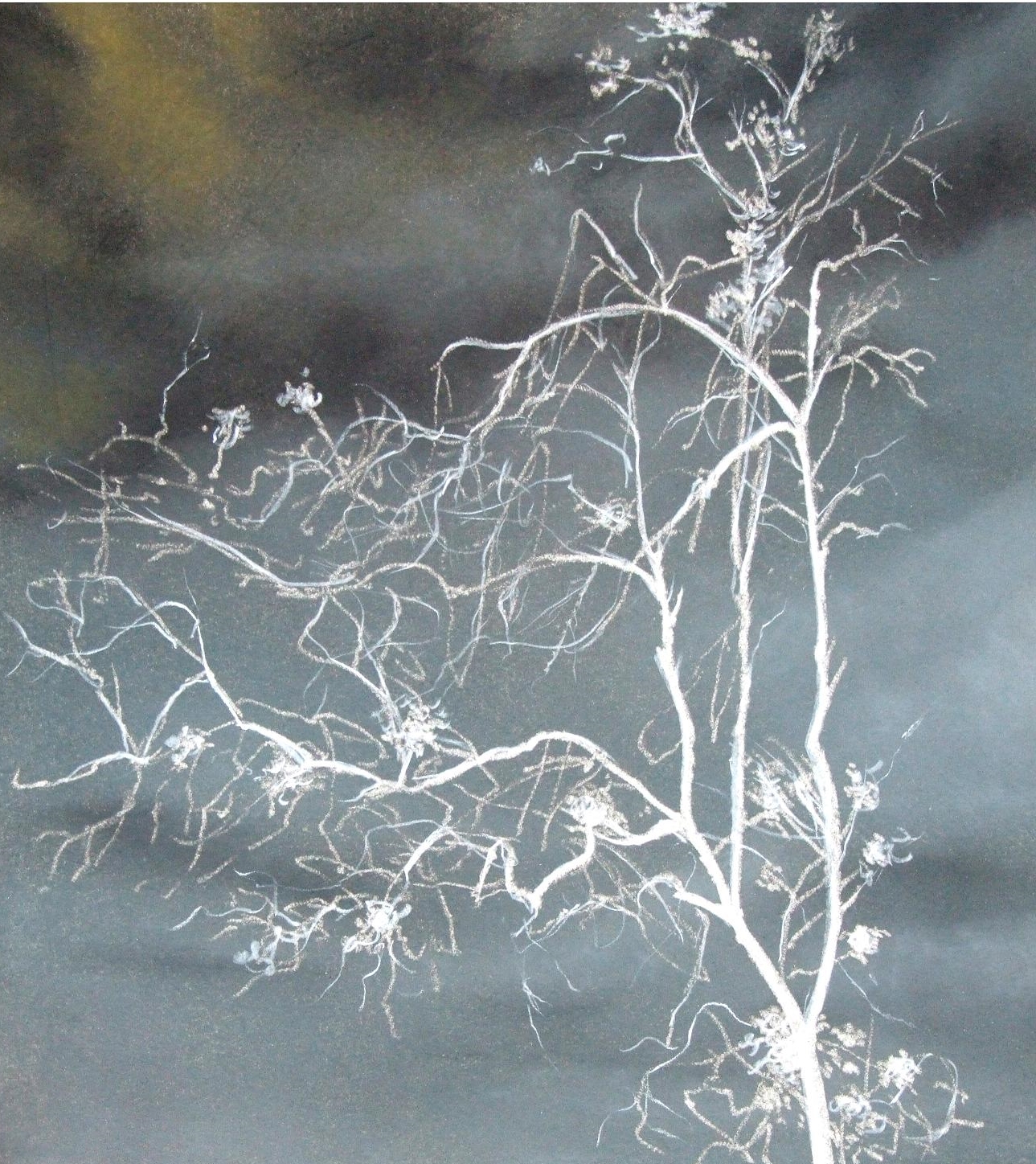 Storm Tree 2