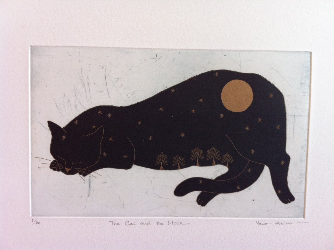 The Cat and The Moon