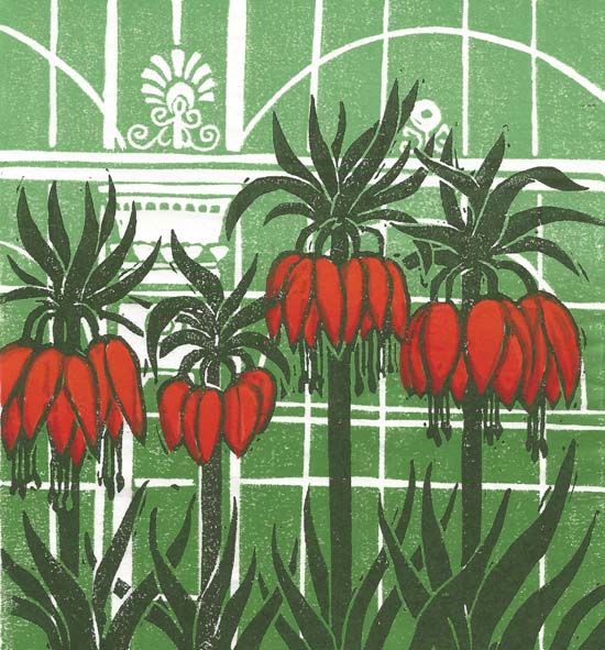  Fritillaria Imperialis