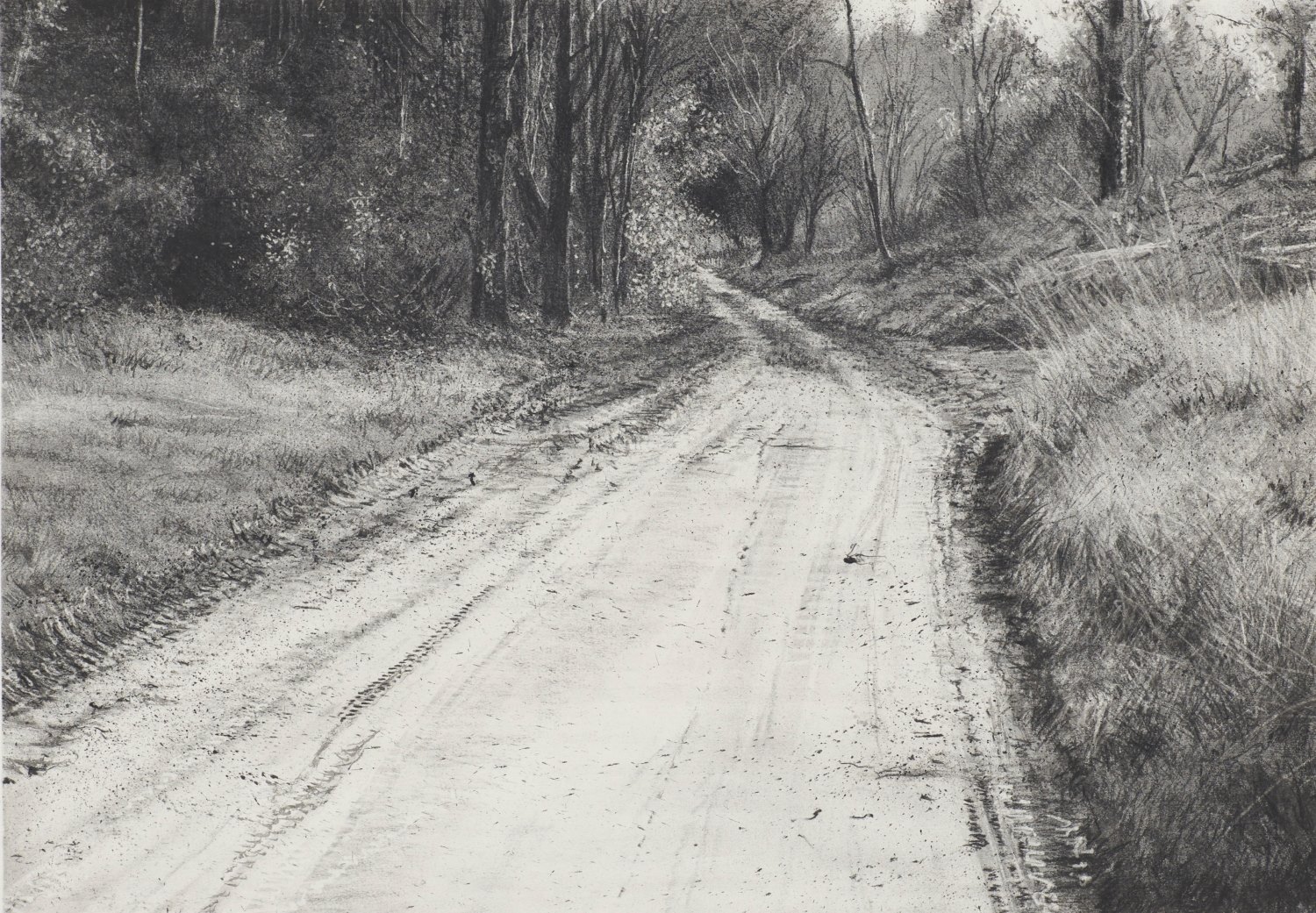 Copy of Wann, Michael - 'A Foreign Country', charcoal and wash on   paper,70 x 100cm.jpg