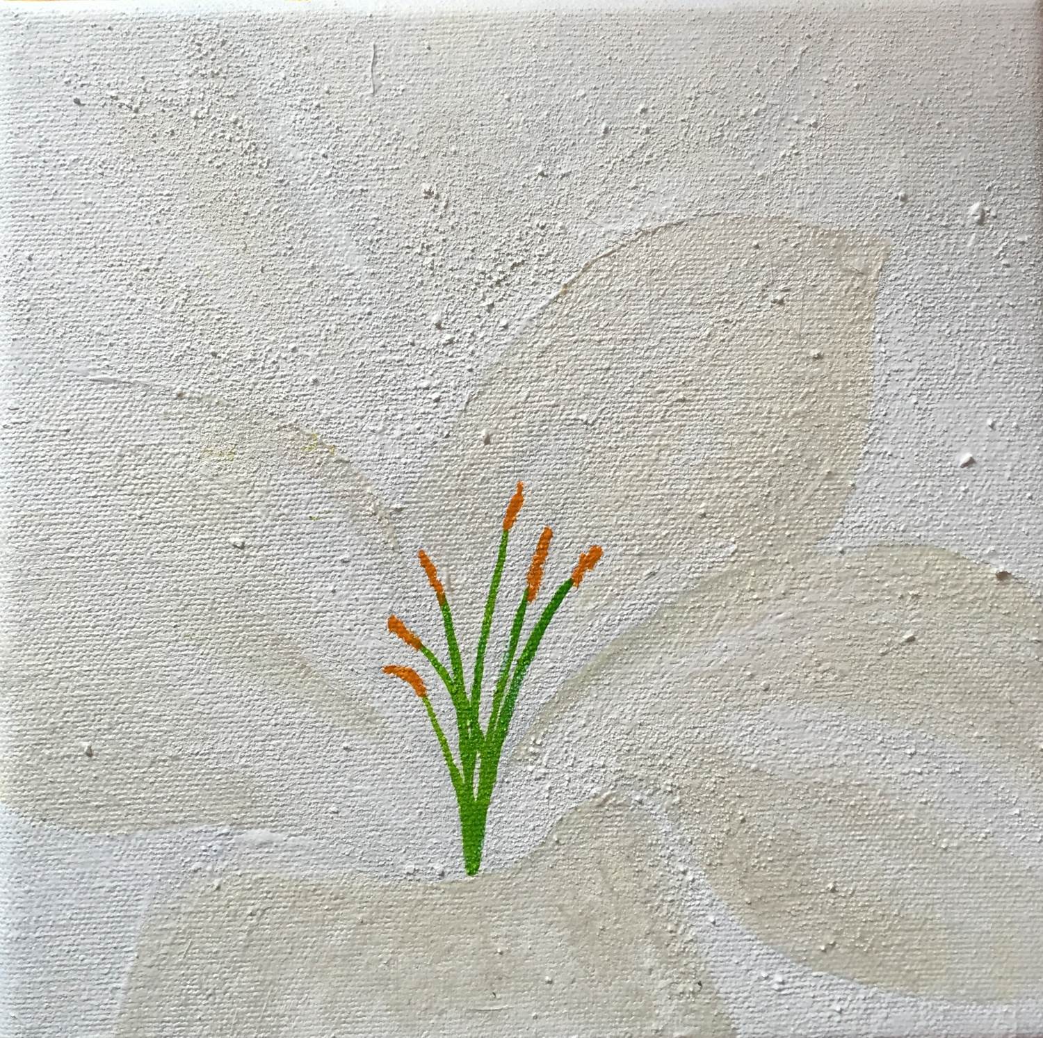 Easter Rising Lily