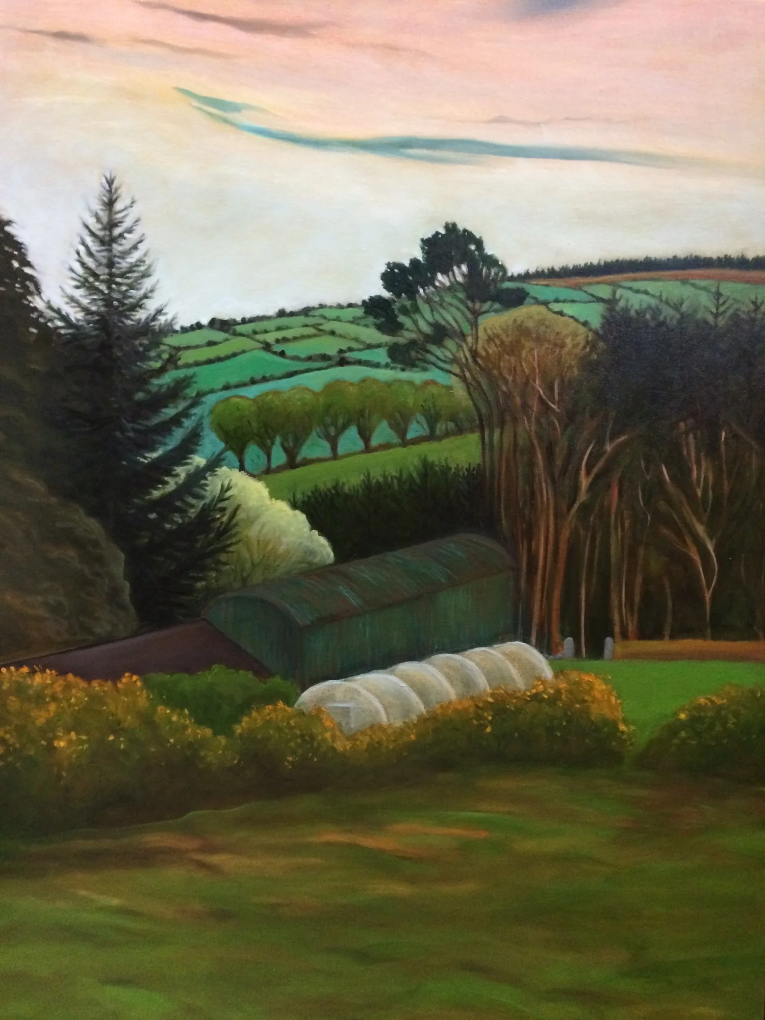 Cowhouse Studios, Haybarn and Polytunnel 2  - Jay Murphy
