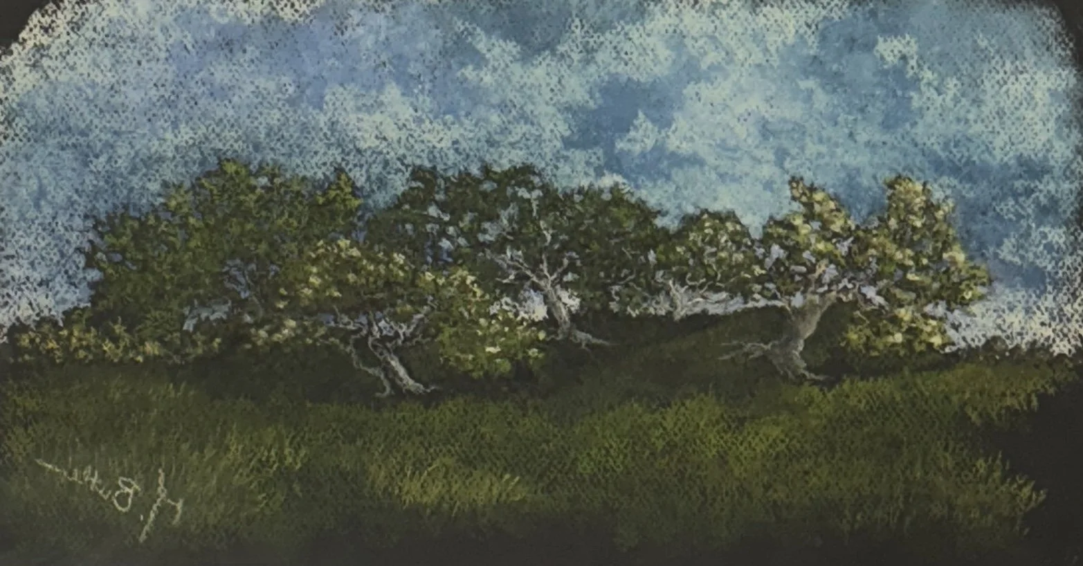 Butler Martina - Hawthorns on the  Fairy Fort