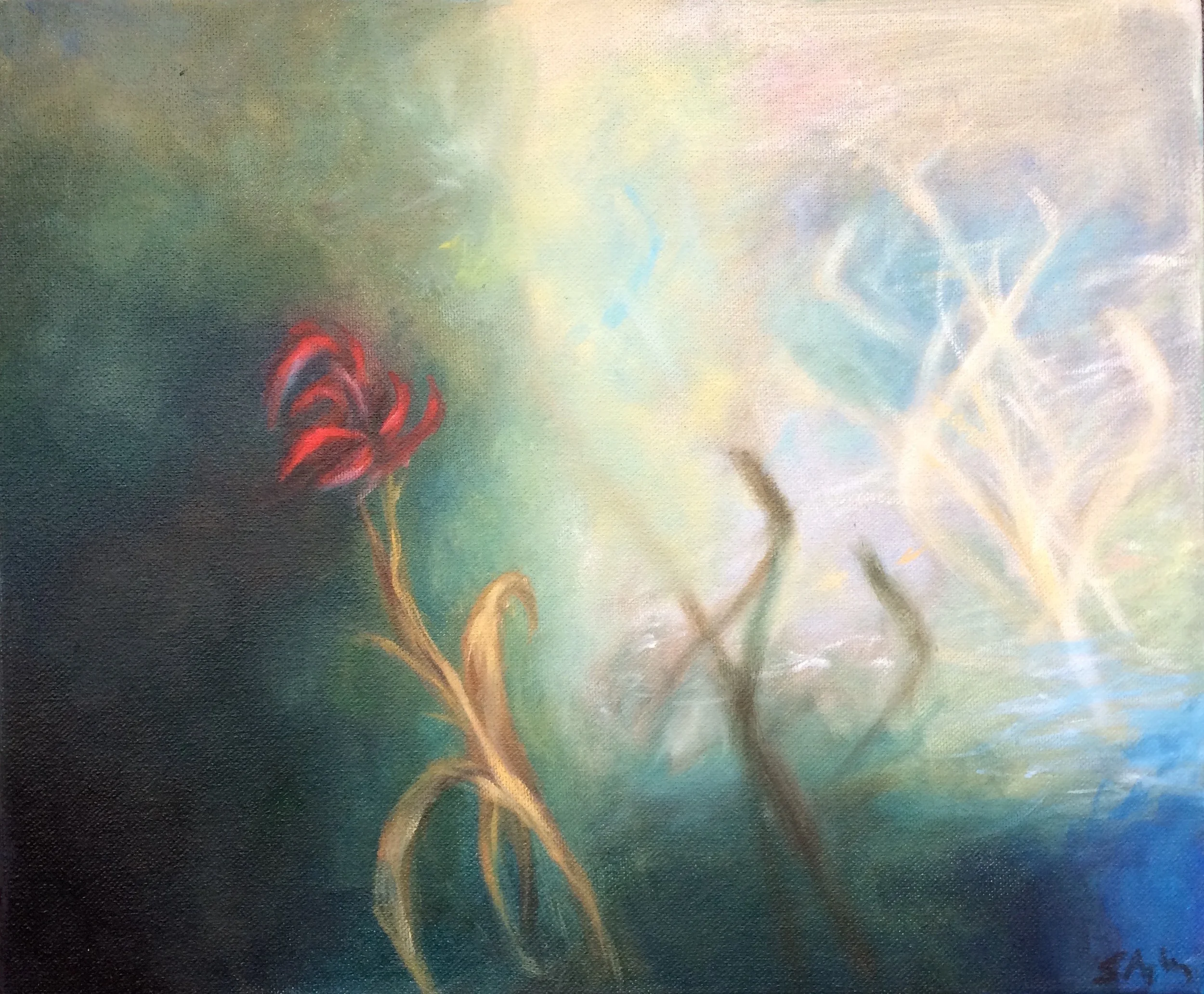 After Image - Sophie Aghajanian