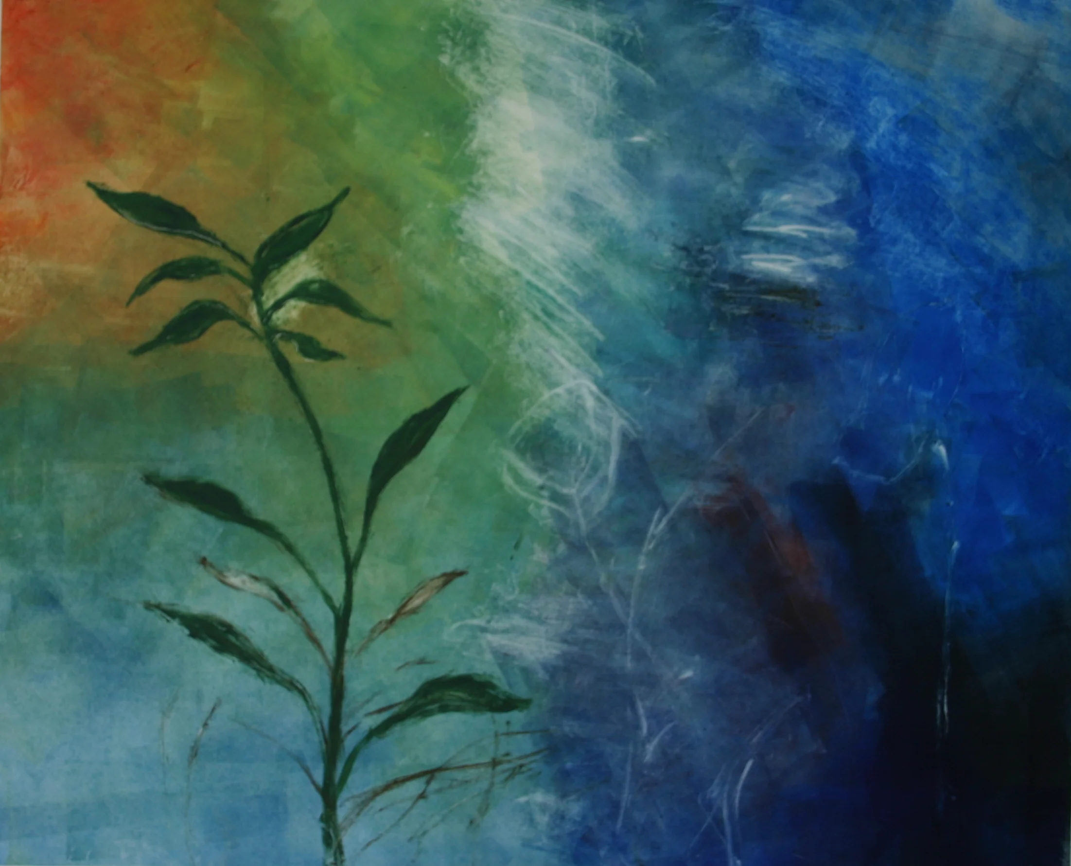 Plant Image lV - Sophie Aghajanian