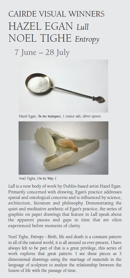 June - Cairde Visual Winners.jpg
