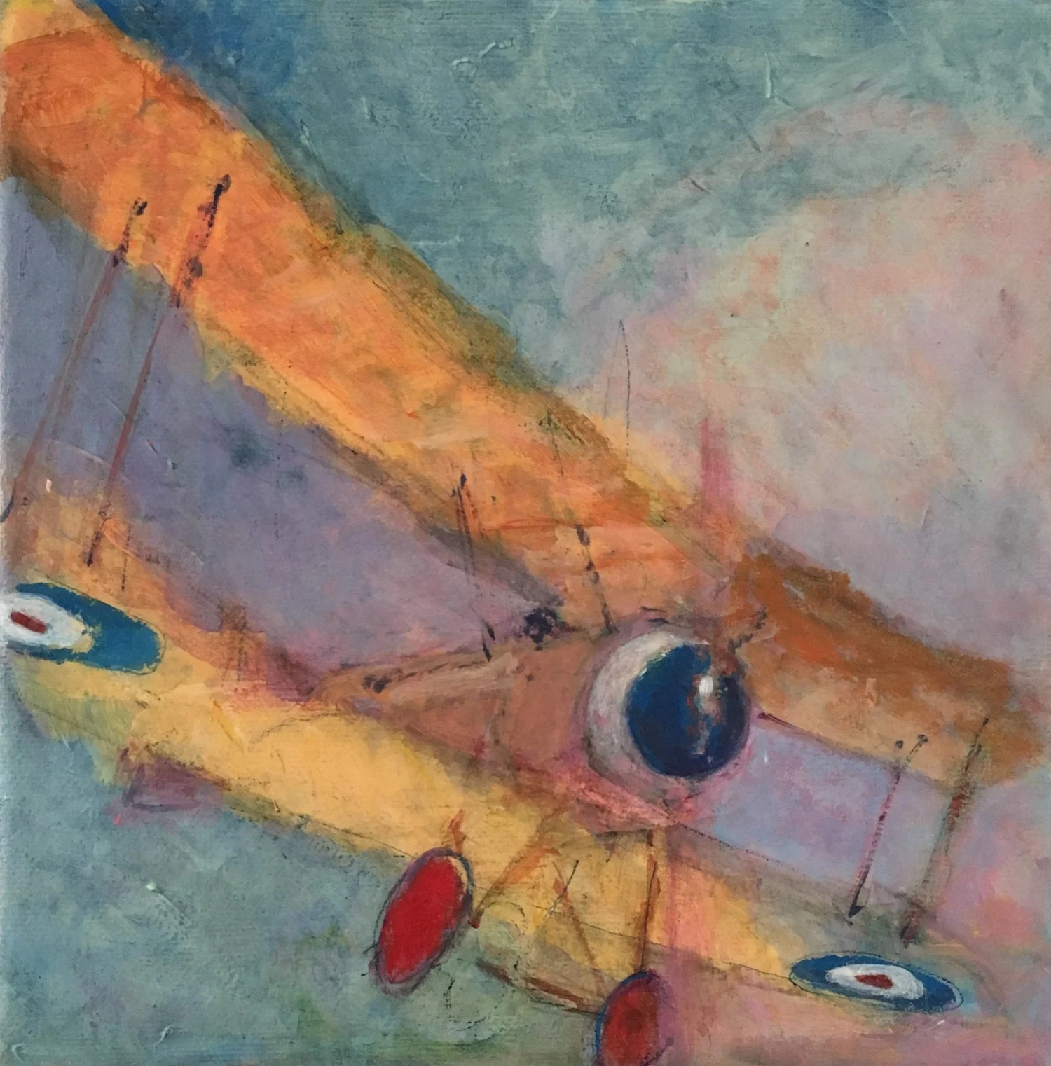 Somewhere among the clouds above - Sydney Thomson