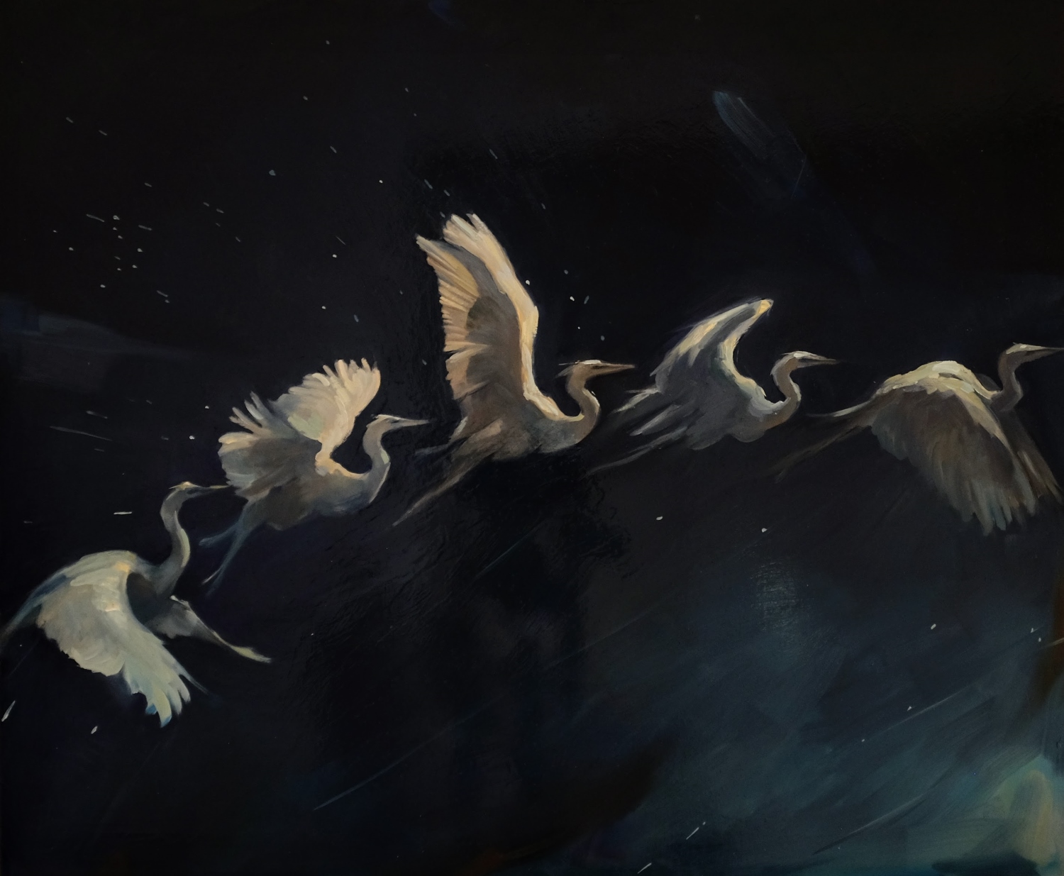 After Marey; Flight Arc - Bríd Higgins Ní Chinnéide