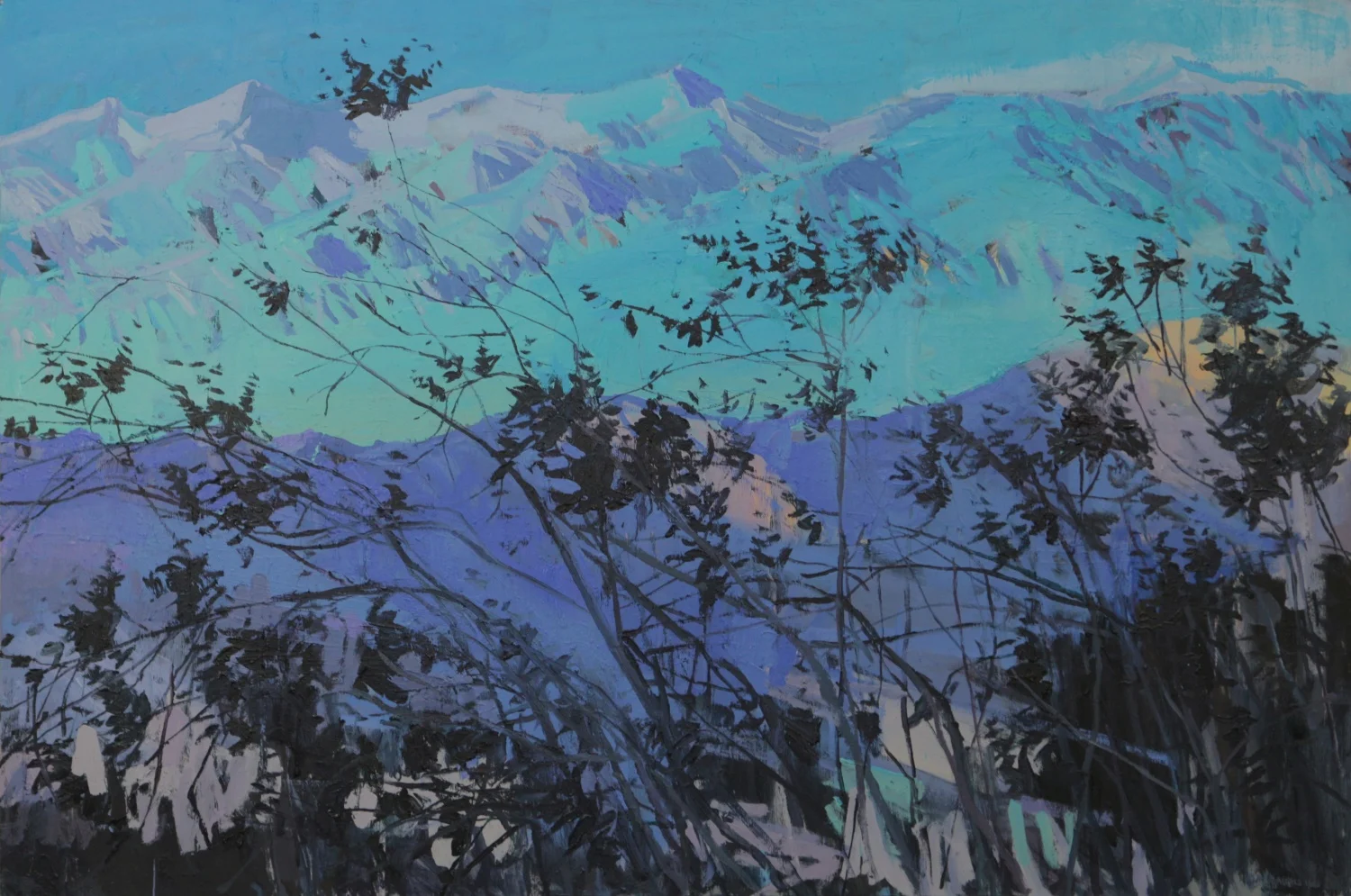 Death Valley mountain branches - Lisa Ballard