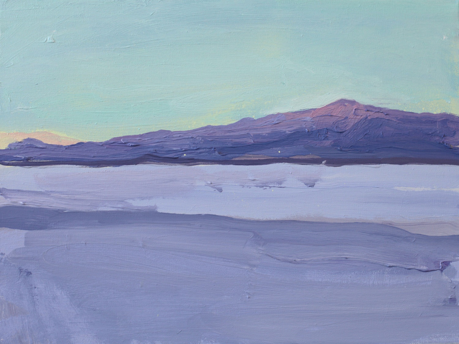 Mint Sky White Sands - Lisa Ballard