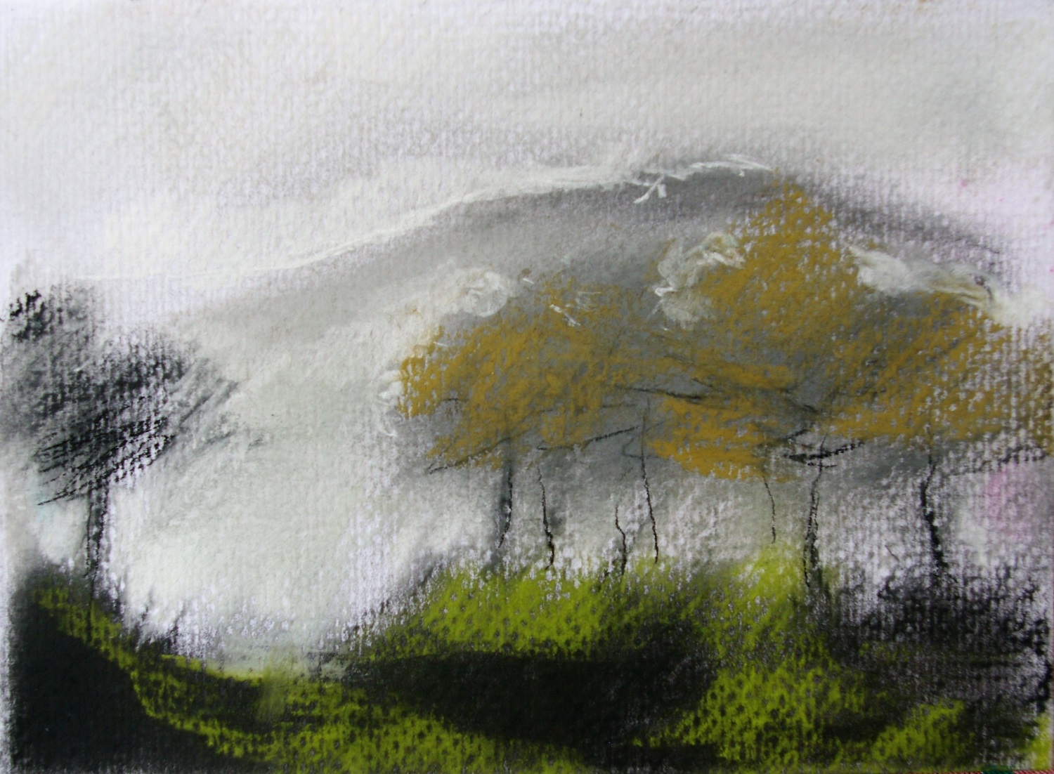 Ghost Trees - Caitriona O'Leary