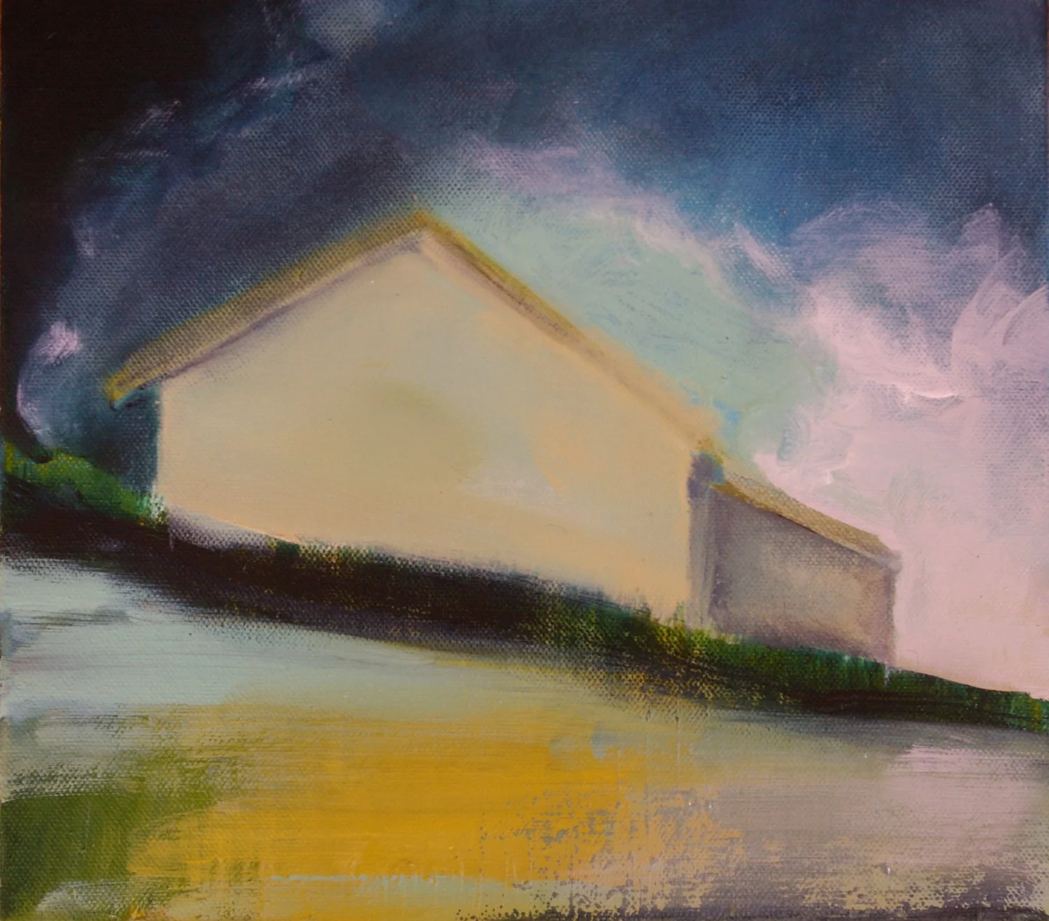 Home before the Storm - Caitriona O'Leary