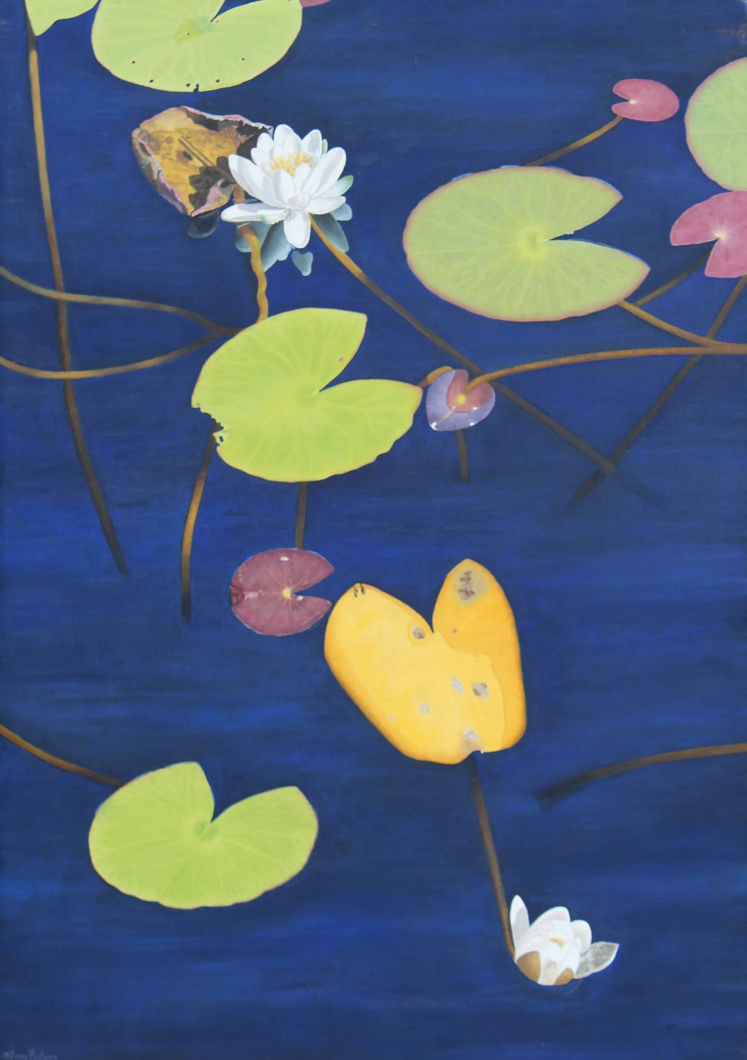 In Sunlight - Mary Rohan