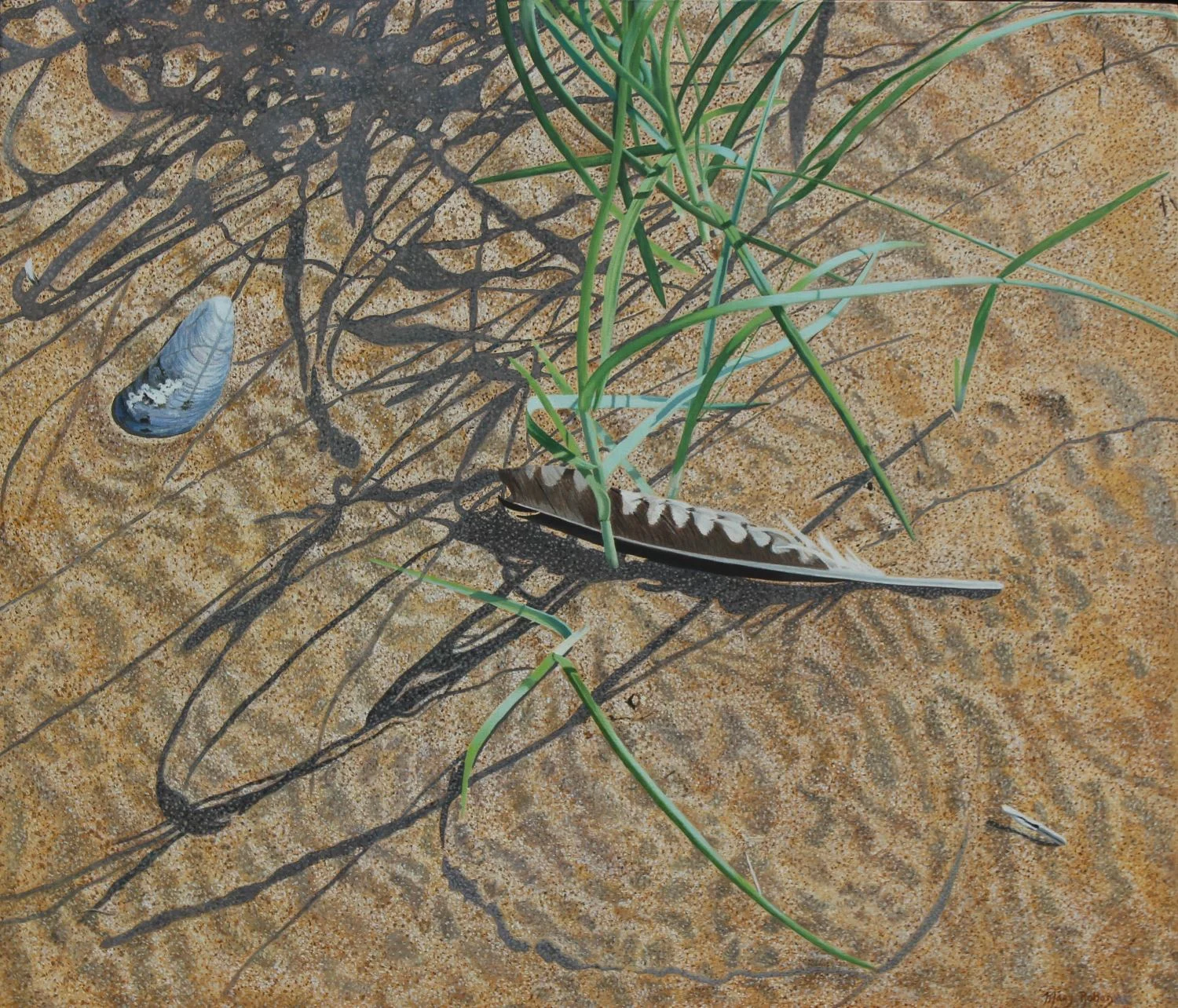 Between Tides - Mary Rohan