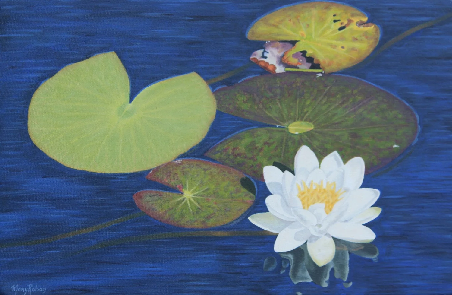 Lotus Flower - Mary Rohan