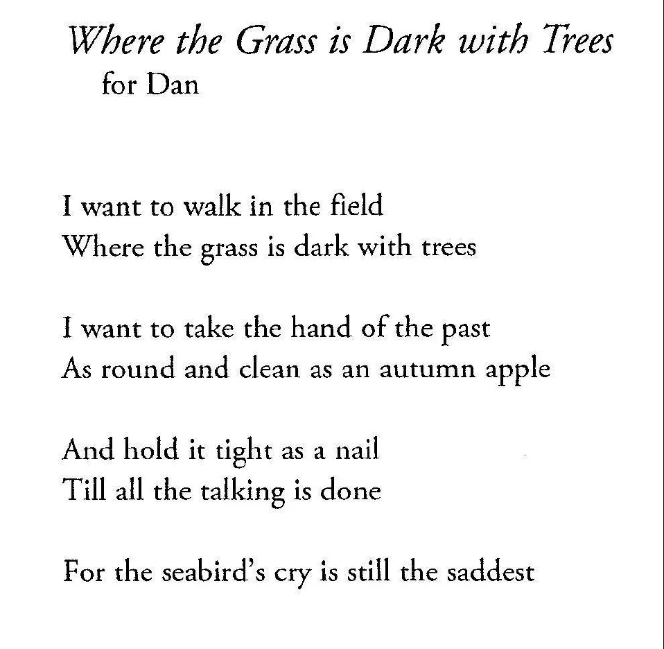 From “The Noise of Masonry Settling” by Leland Bardwell. Published by Dedalus Press