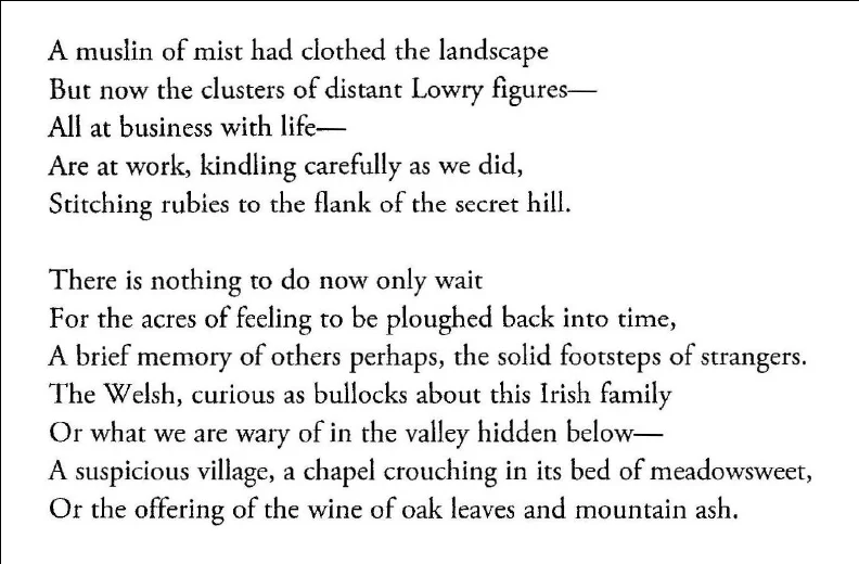 From “The Noise of Masonry Settling” by Leland Bardwell. Published by Dedalus Press