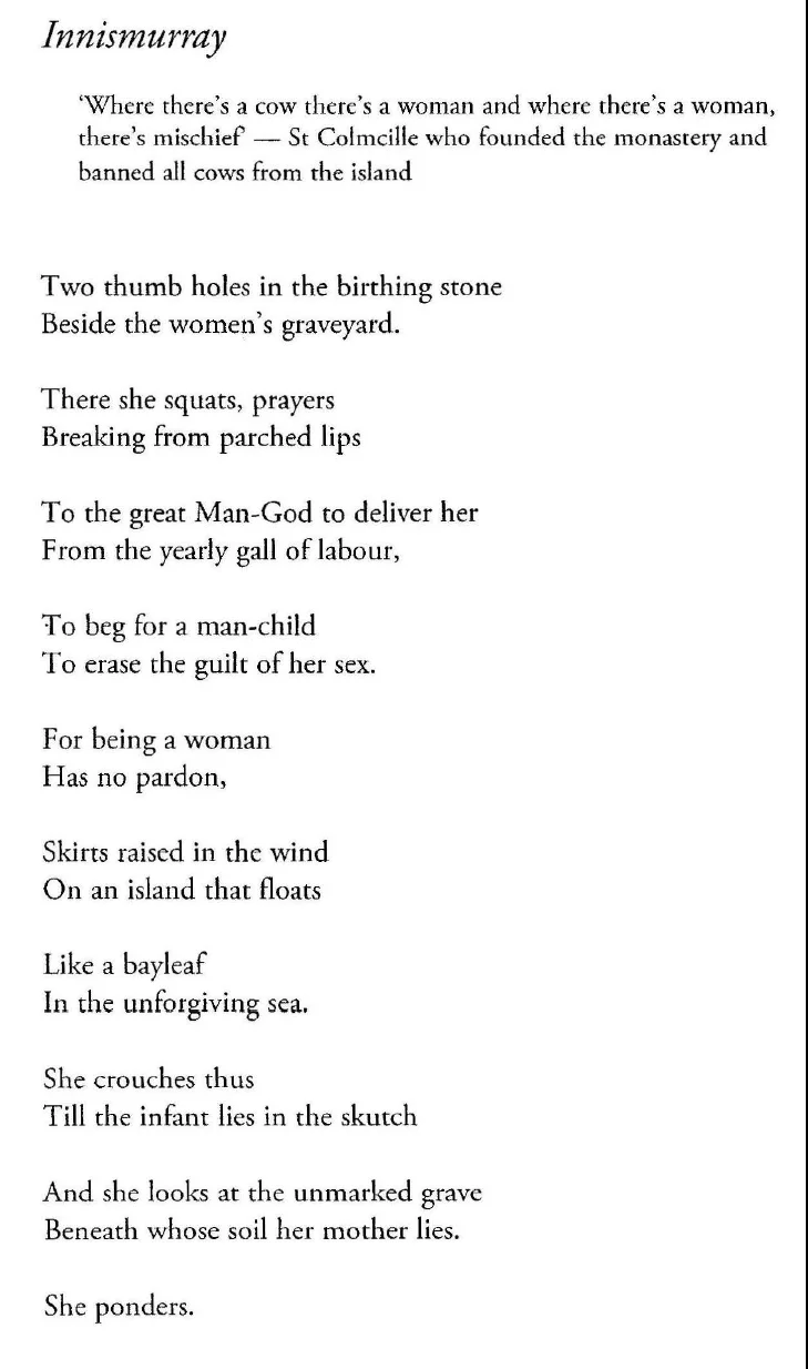 From The Noise of Masonry Settling | Leland Bardwell | Published by Dedalus Press.
