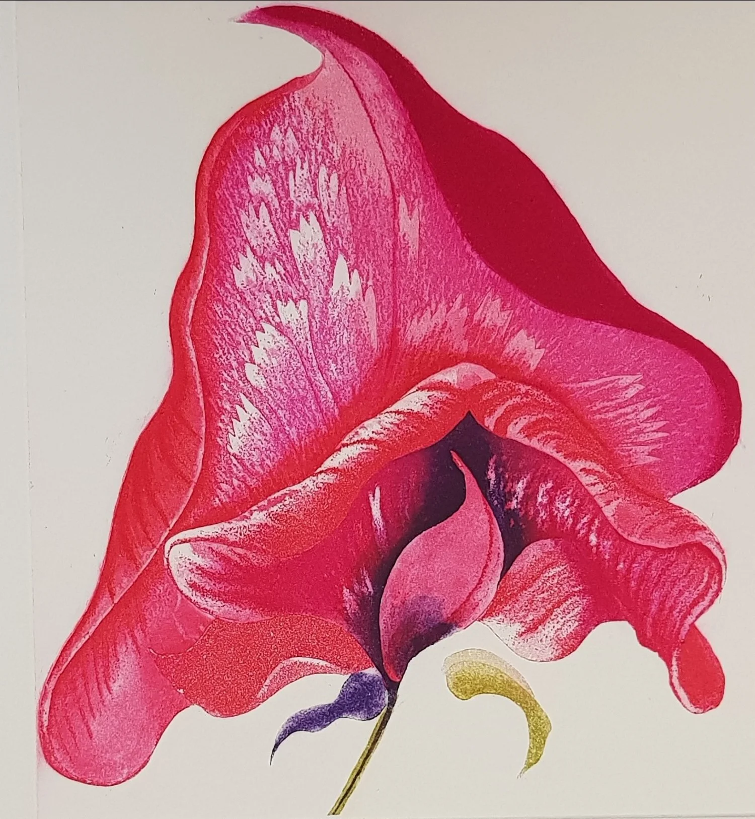 Summer Sent - Gráinne Cuffe