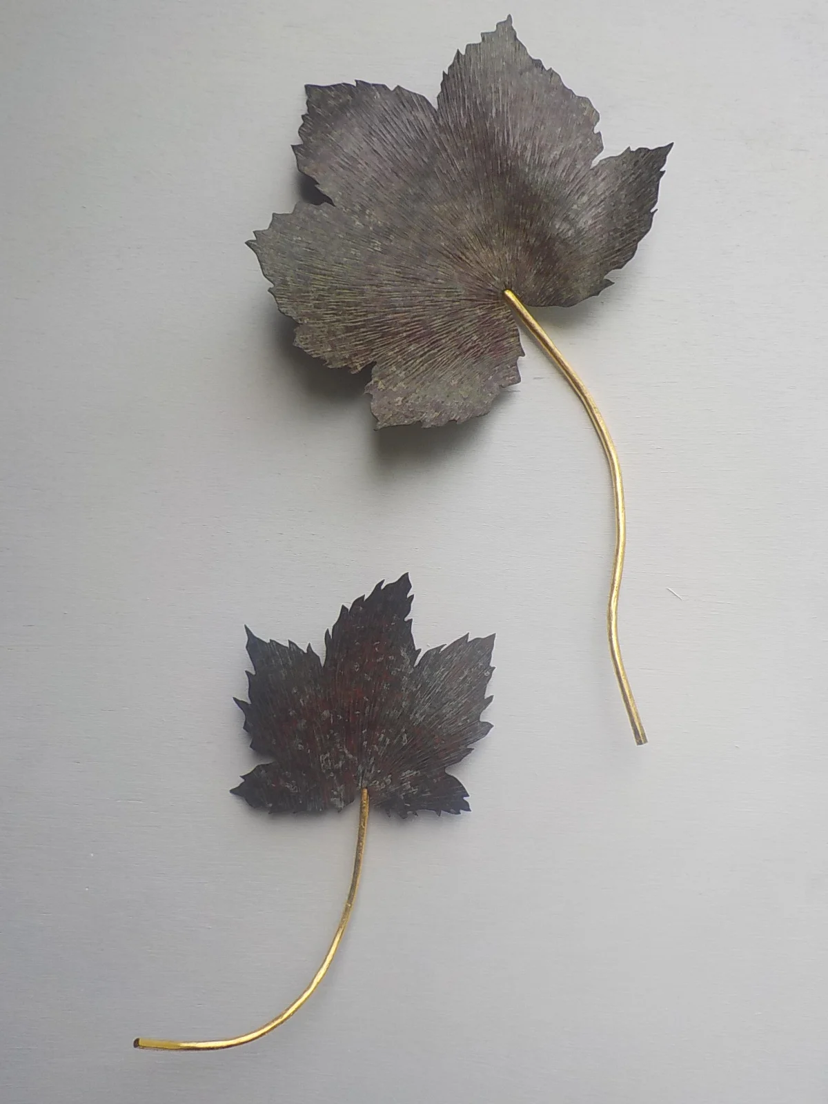 Sycamore - Jane Murtagh