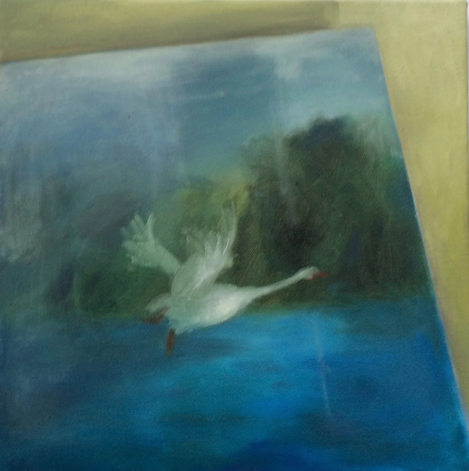 Aghajanian, Sophie   '...troubled mirror'