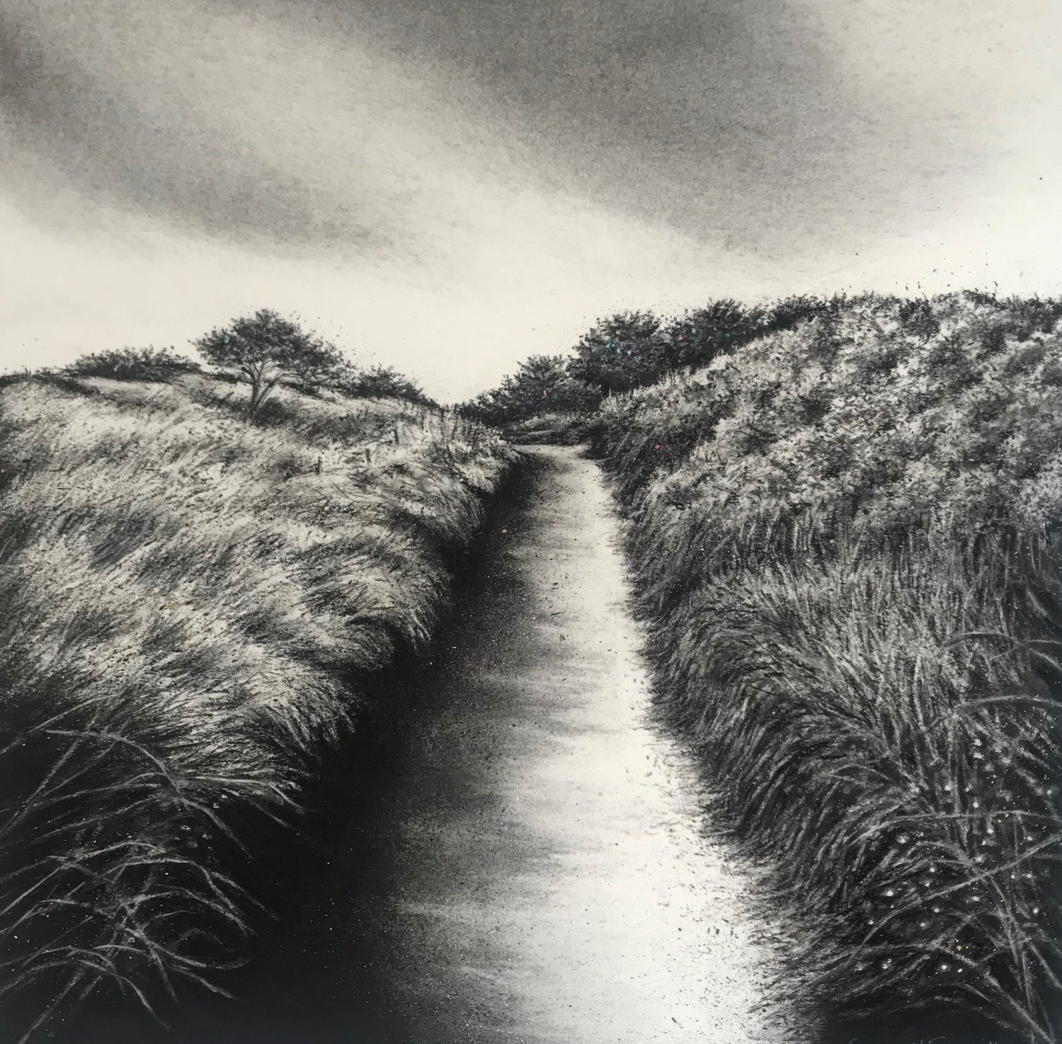 O'Farrell, Sorca - ‘...now wind drops, dust settles…'