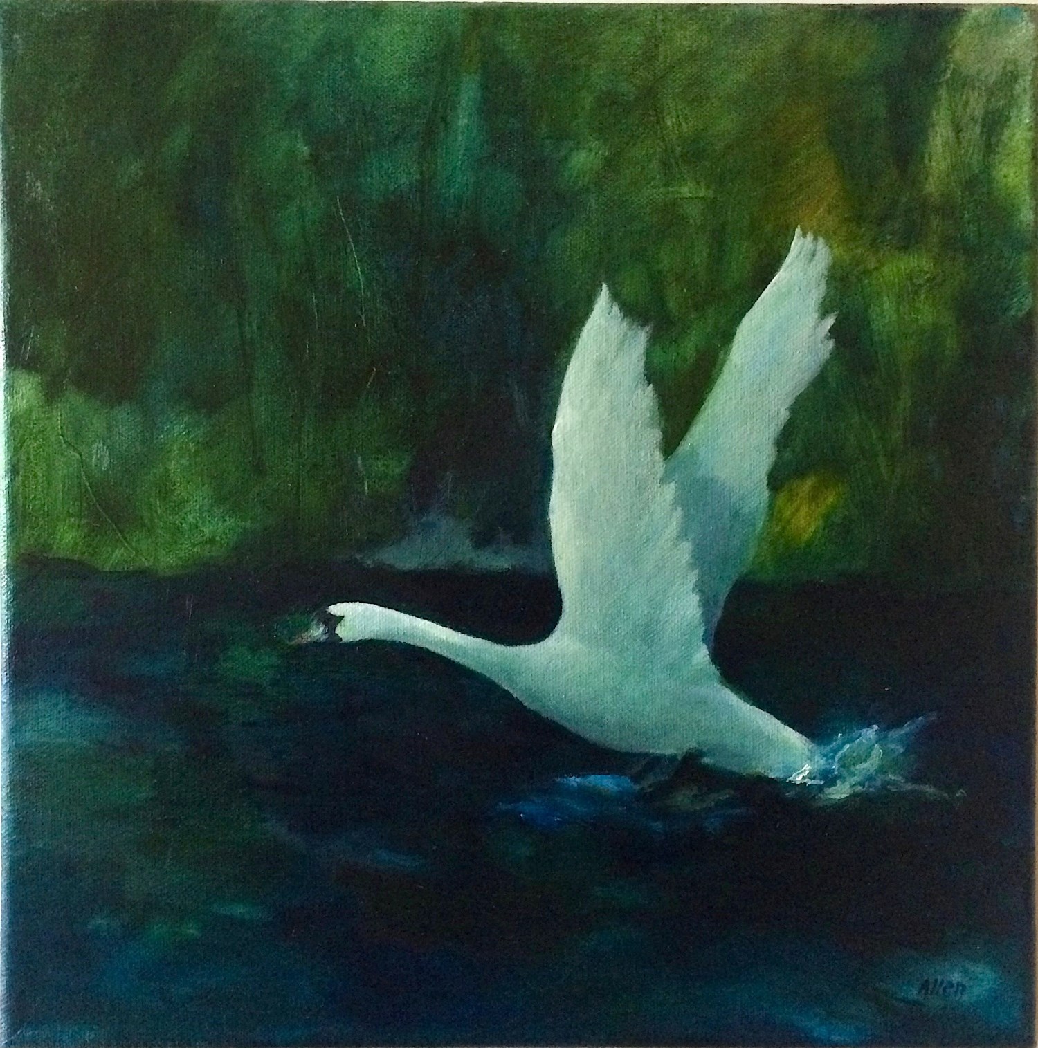 ..wings half spread for flight