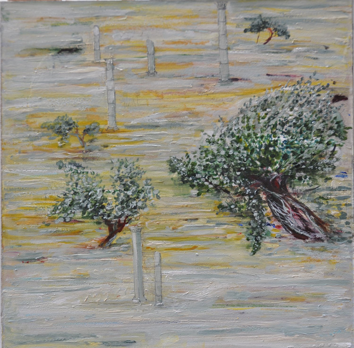 Olive Field