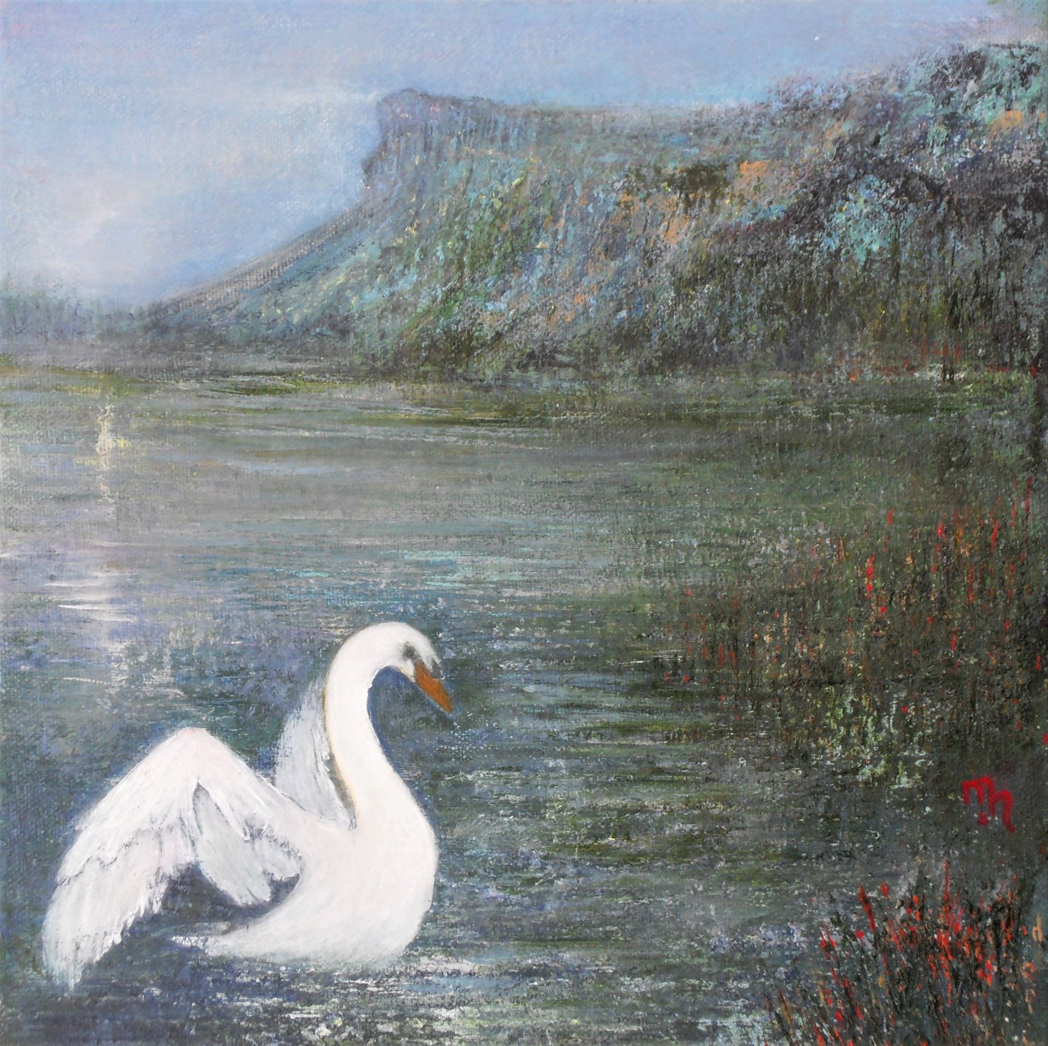 'Soul of a Swan'