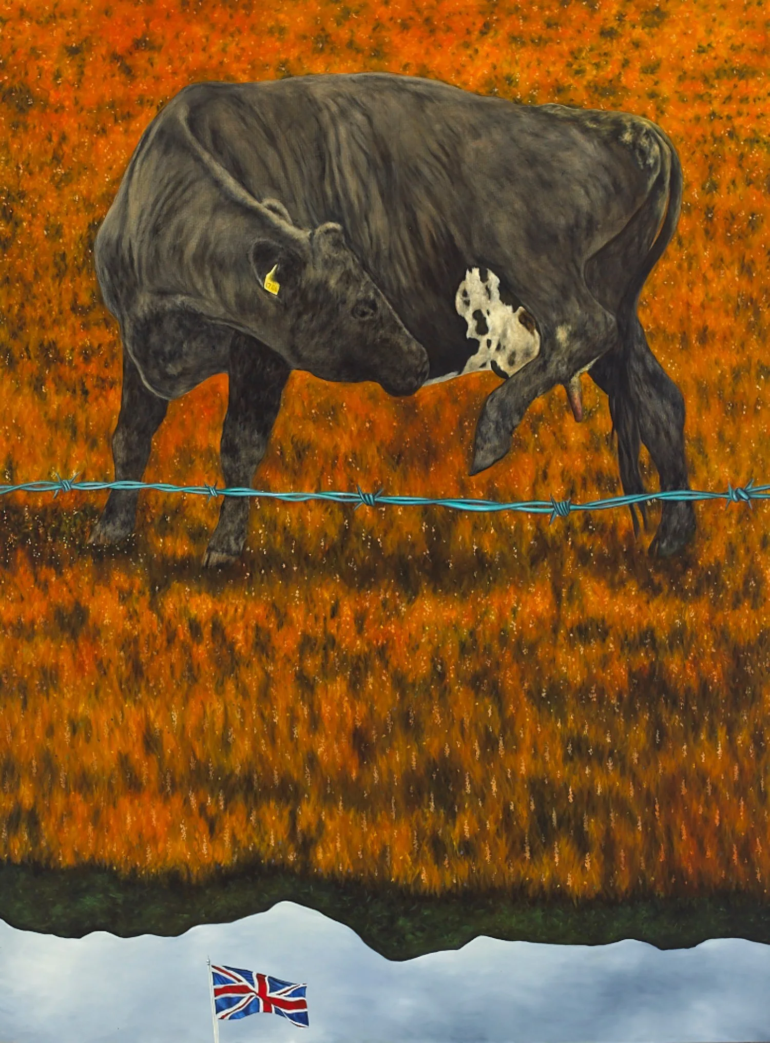 Orange Field - Dermot Seymour
