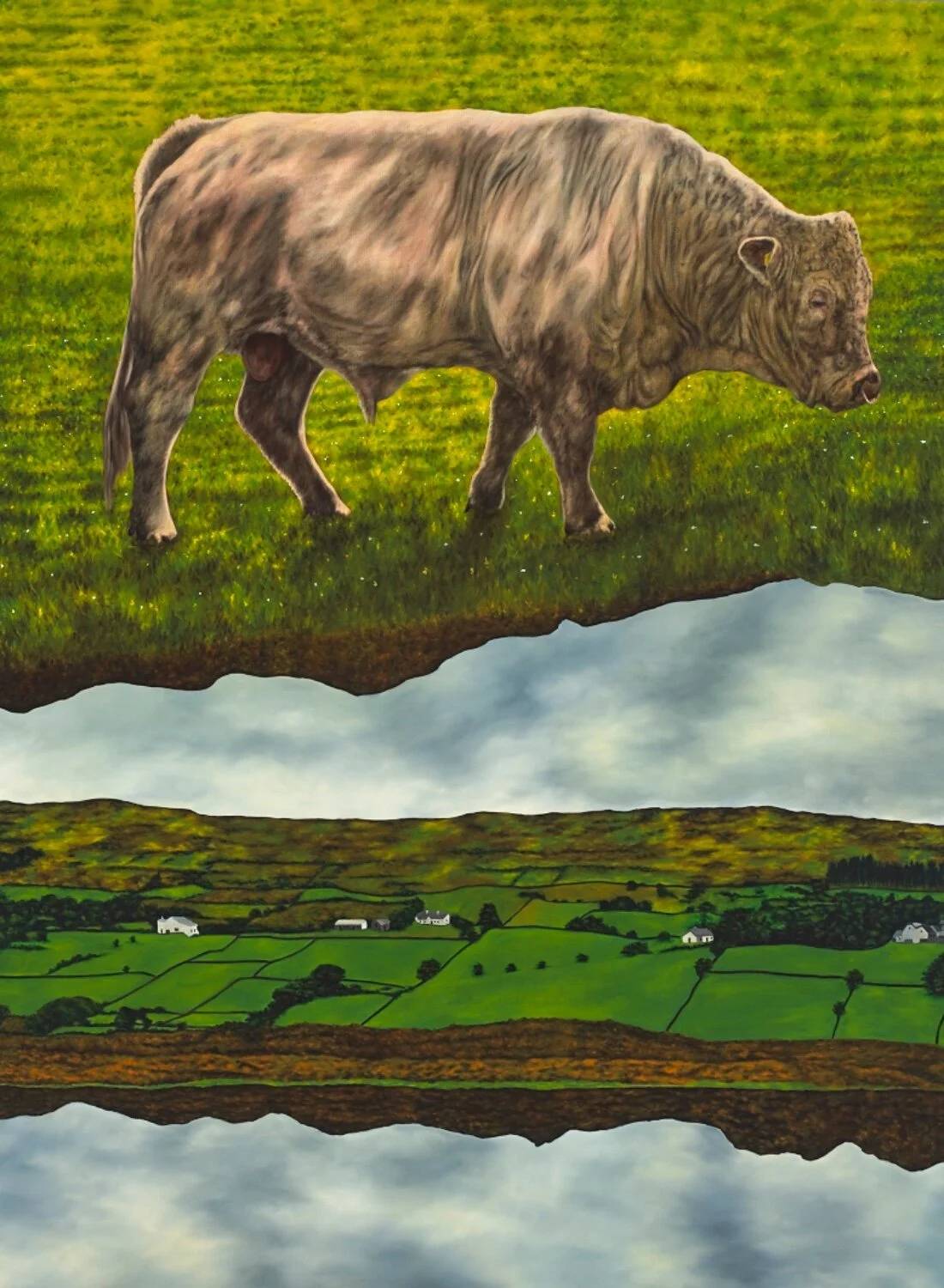 The Settlement - Dermot Seymour