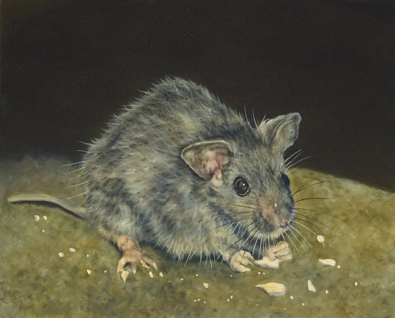 Large Monaghan Mouse - Dermot Seymour