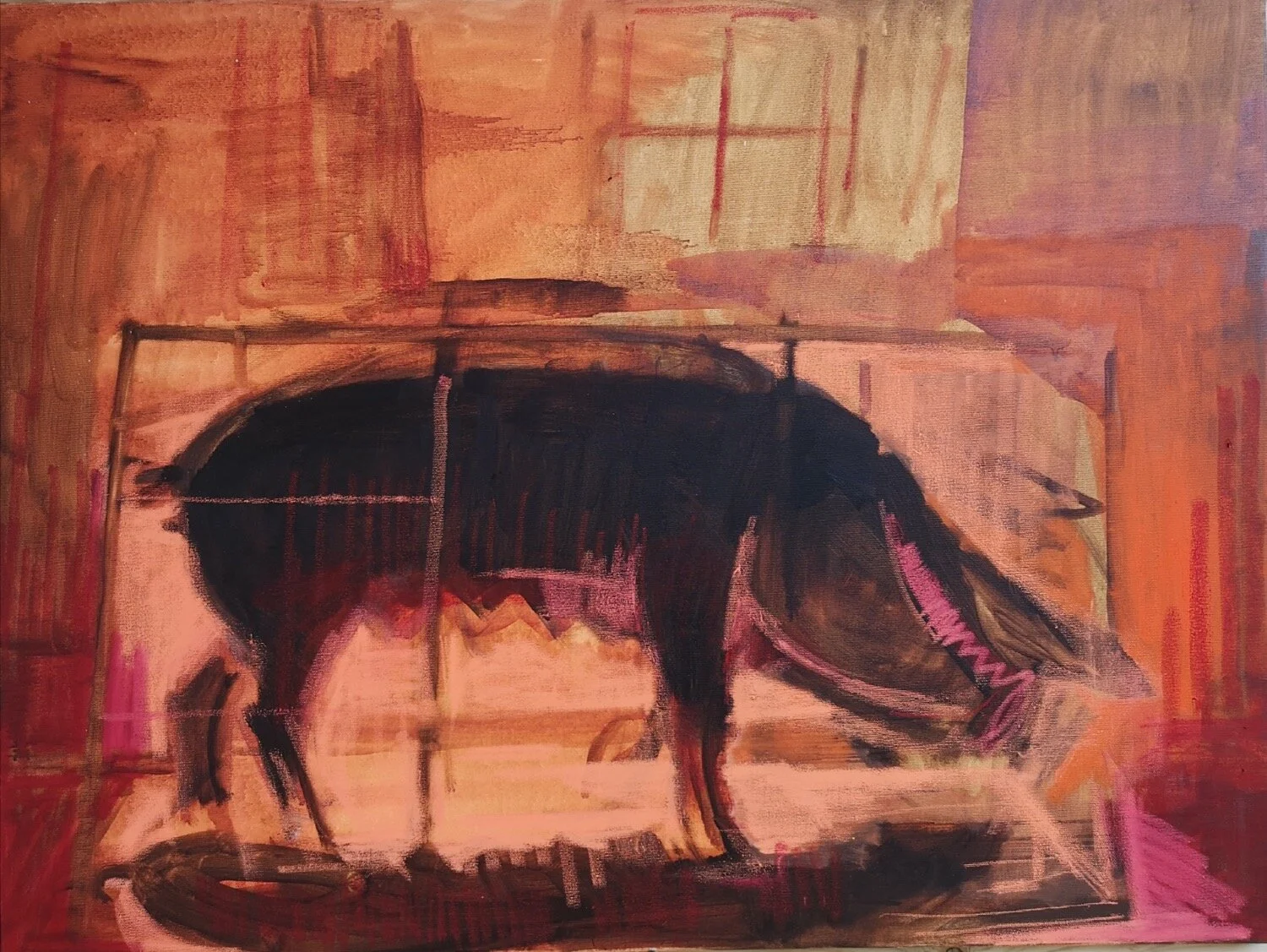 Paddy's Pig ll  Study in Orange - Diarmuid Delargy