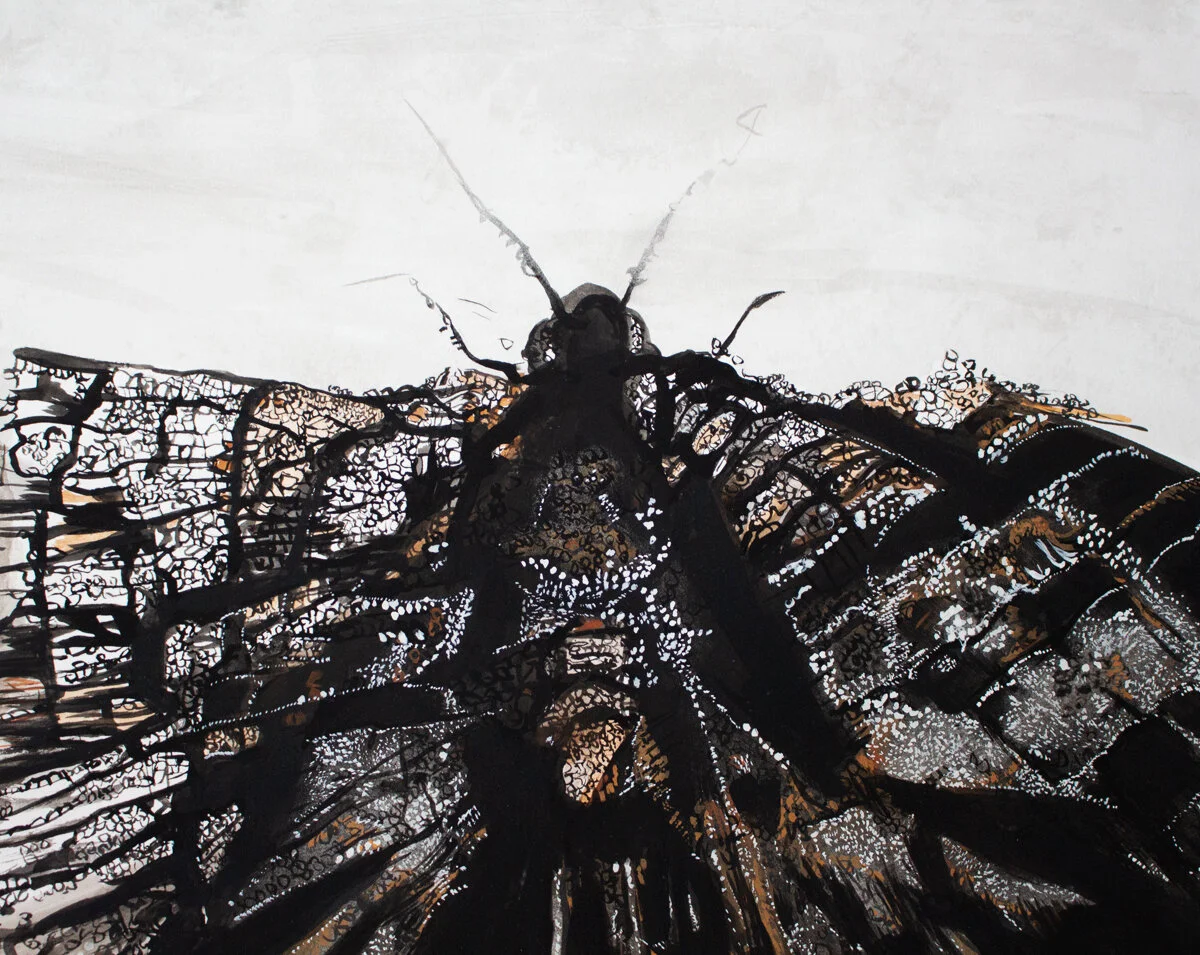 Pohli, Paula - Nightwing Emerging