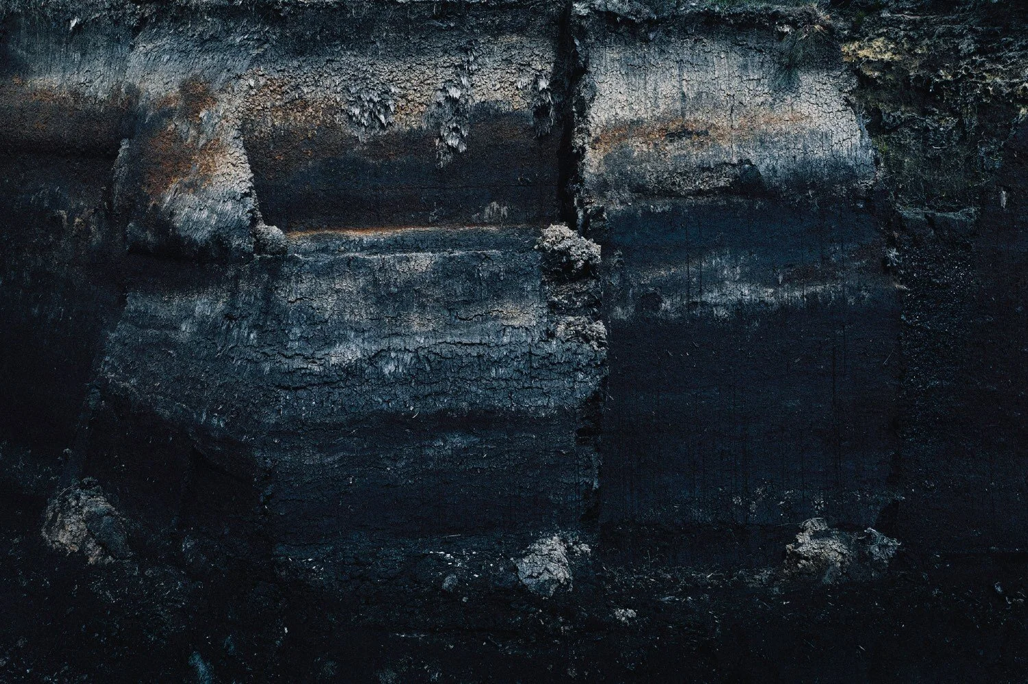 Bunn, Mike - Digging for Bones