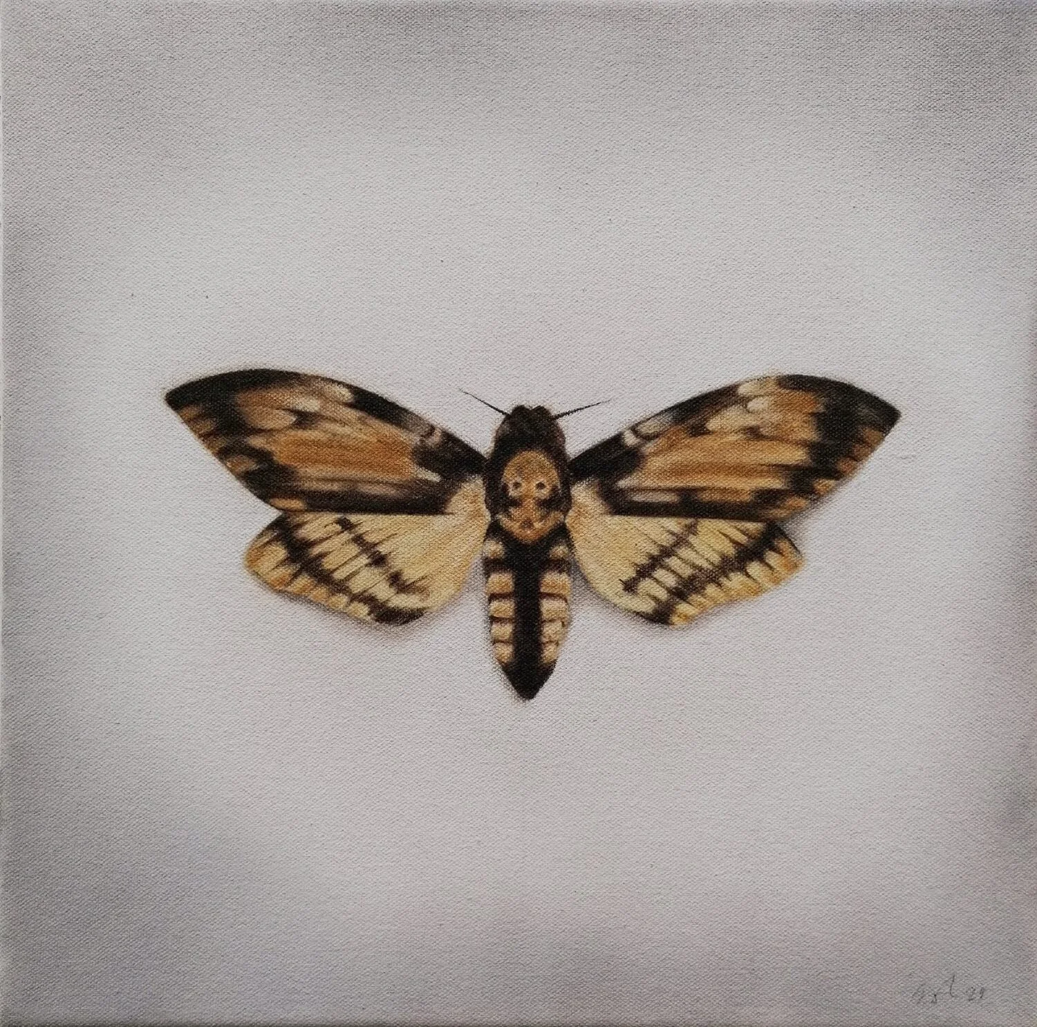 Hamilton Gallery, Sligo, Artist, Lisa Gingles, "Yeats Moth' , Meditations in Time of Civil War Exhibition