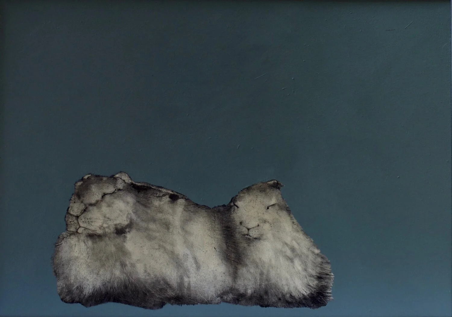 Artic Hares - Heidi Wickham