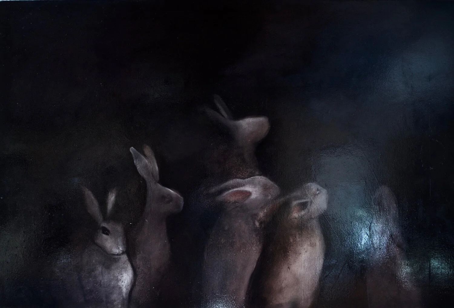 Aurora - Heidi Wickham