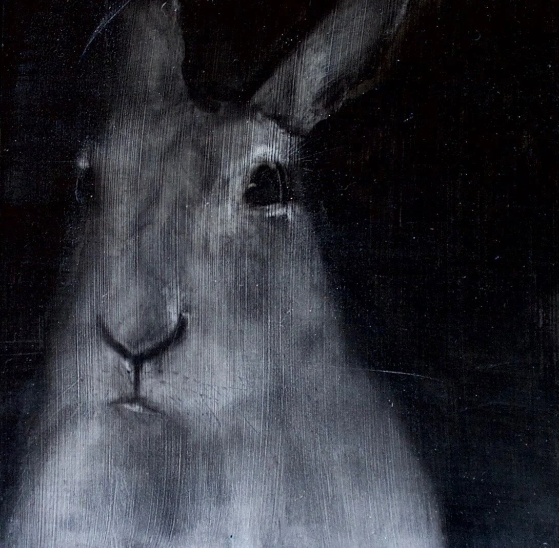 Snow Bunny - Heidi Wickham