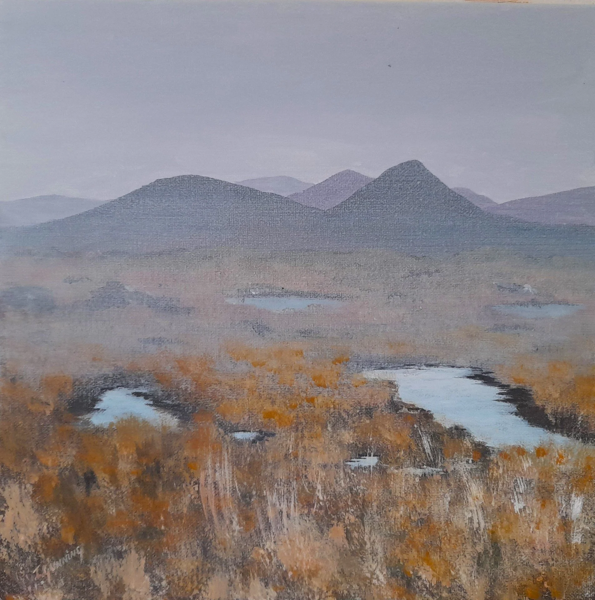 Tony Gunning, Roundstone Bog (in mist) 