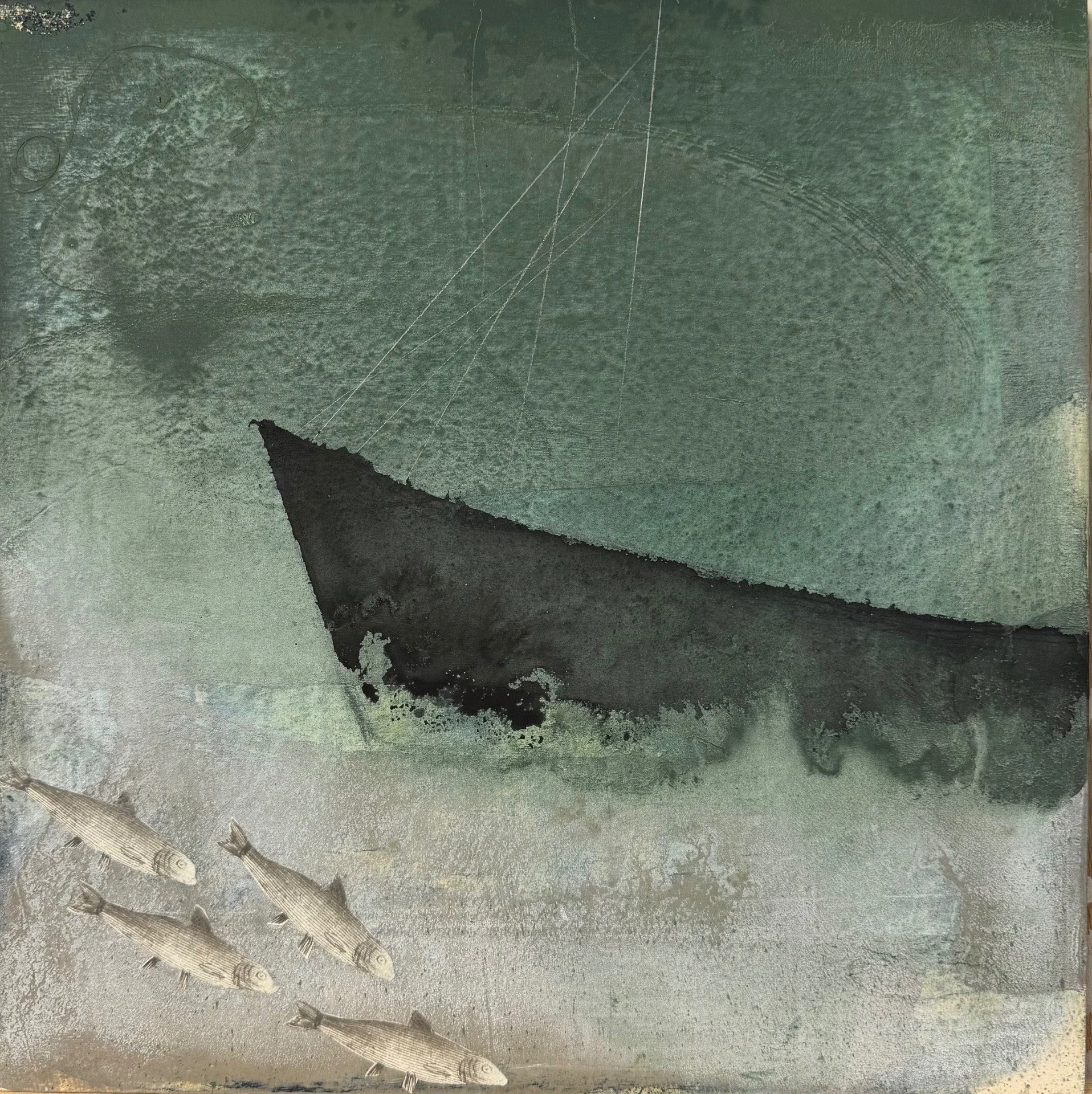 van de Wal Antoinette Sea's Silver 2 .jpeg