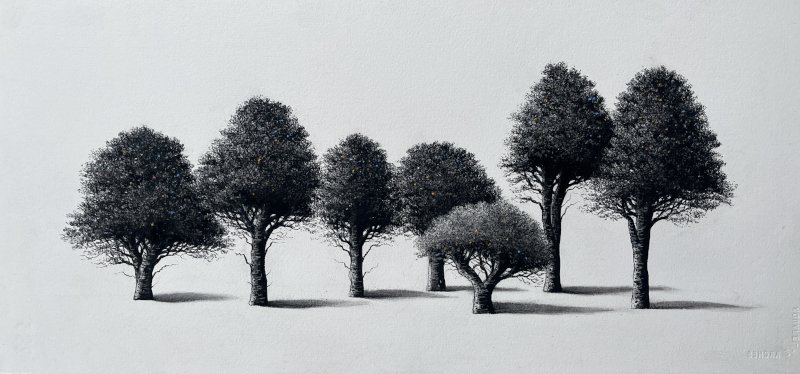 Sorca O'Farrell - Seven Sisters