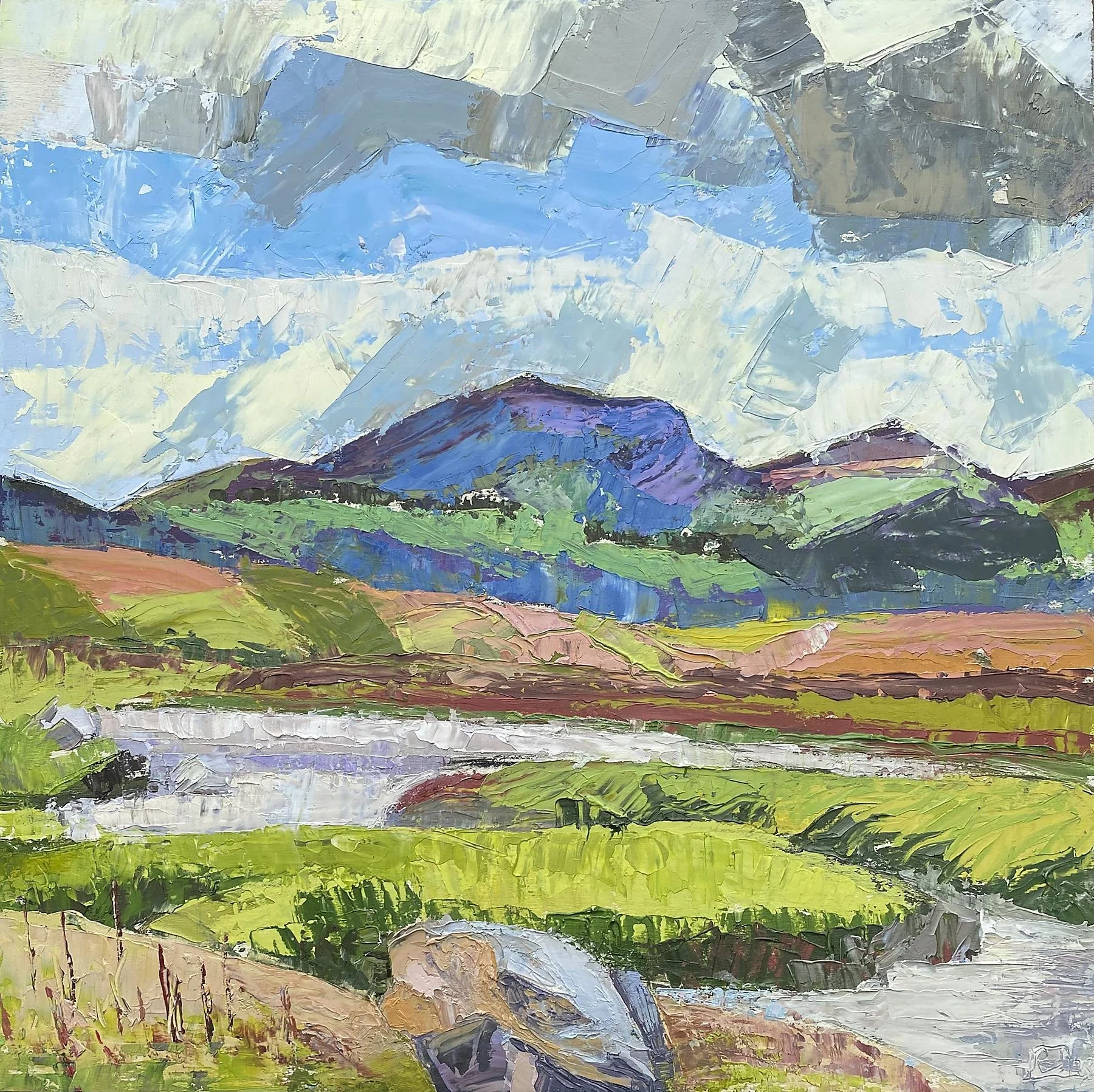 Jobson, Rebecca - 'Summer Light Sliabh Doomore'